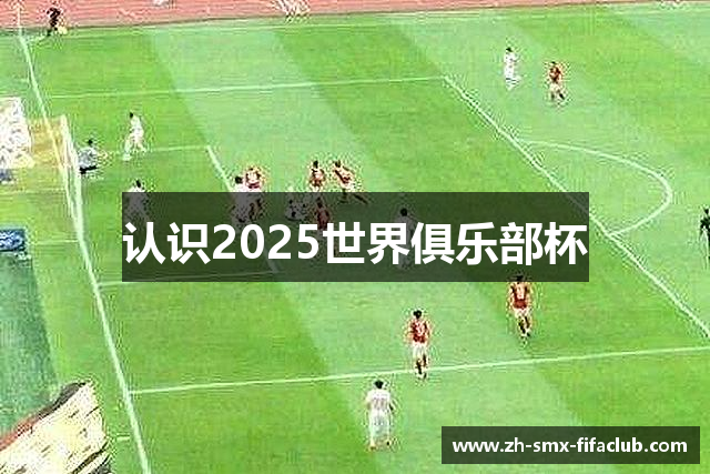 认识2025世界俱乐部杯